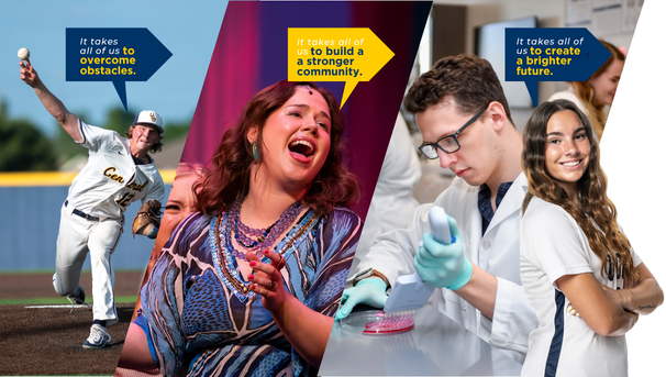 Graphic promoting Annual Fund